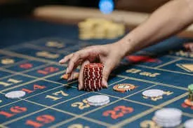 betgames Cartas Tortuga de Mazunte